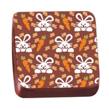 Transfer para Chocolate Páscoa 40 x 30cm - Coelhos e Cenoura (normal)