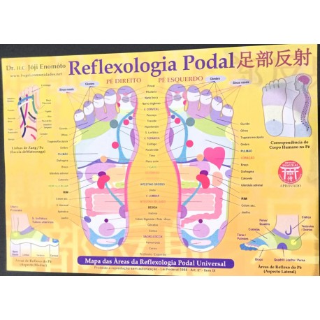 Mapa Reflexologia Podal