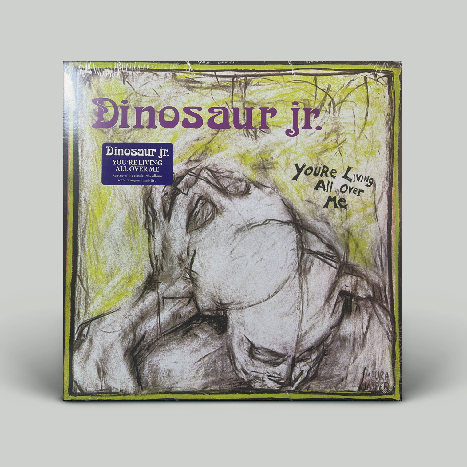 Dinosaur Jr. - You're Living All Over Me (1 LP) - Importado